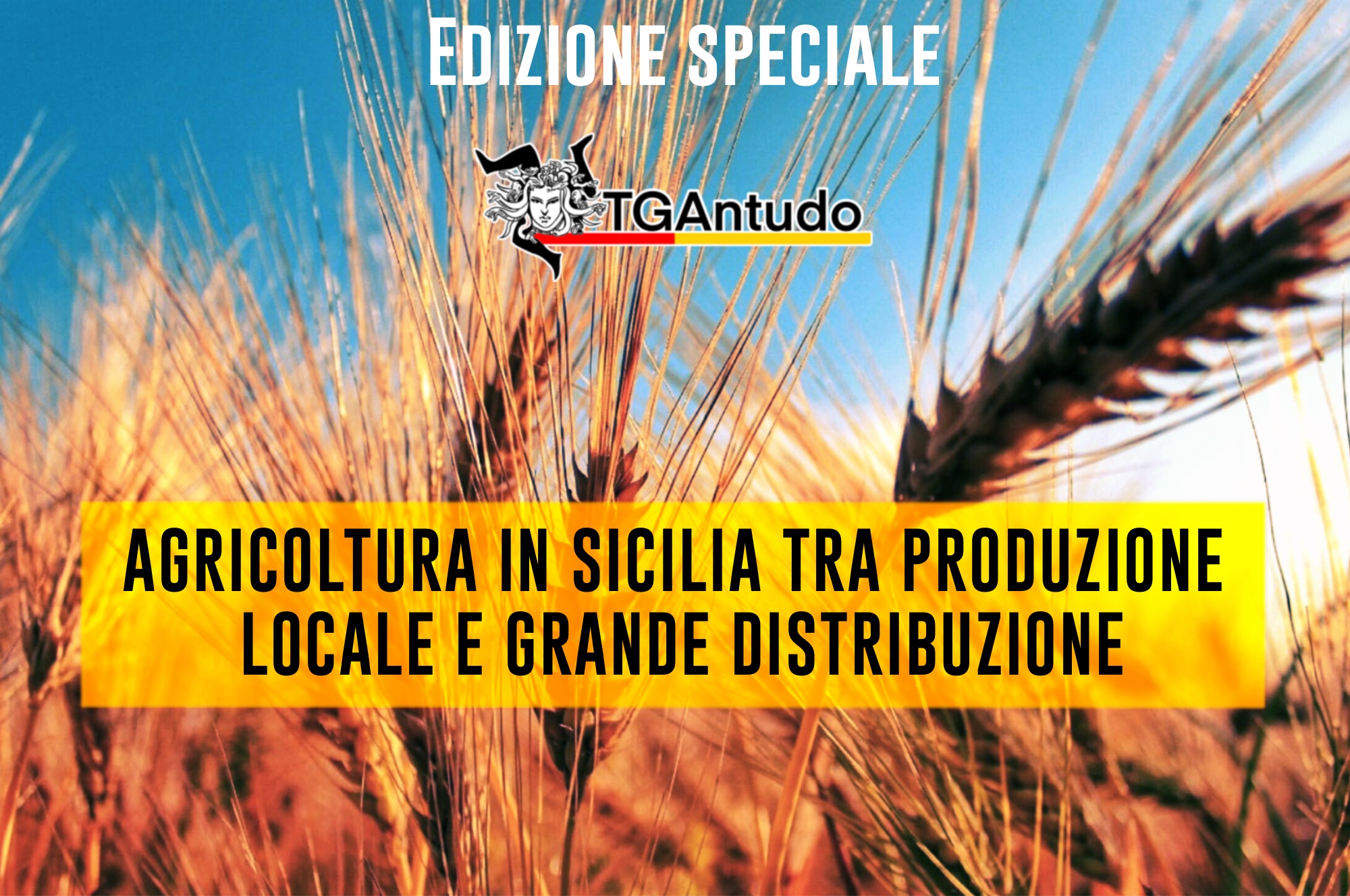 TGAntudo – Edizione Speciale – Agricoltura in Sicilia tra produzione locale e grande distribuzione